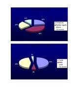 Referāts 'Alkohols vidusskolēnu vidū', 48.
