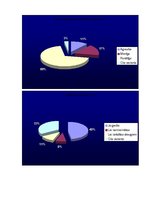 Referāts 'Alkohols vidusskolēnu vidū', 49.