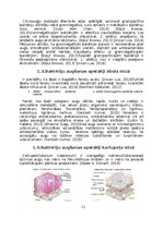 Referāts 'Mikroorganismu daudzveidība dažādās augu mizās', 8.