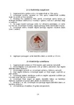 Referāts 'Mikroorganismu daudzveidība dažādās augu mizās', 11.