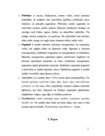 Referāts 'Koksnes aizrīvēšanas materiālu tehnoloģija. Tepes, ķites, špakteles', 7.