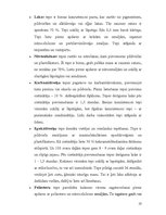 Referāts 'Koksnes aizrīvēšanas materiālu tehnoloģija. Tepes, ķites, špakteles', 10.