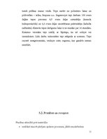 Referāts 'Koksnes aizrīvēšanas materiālu tehnoloģija. Tepes, ķites, špakteles', 11.