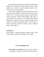 Referāts 'Koksnes aizrīvēšanas materiālu tehnoloģija. Tepes, ķites, špakteles', 14.