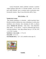 Referāts 'Koksnes aizrīvēšanas materiālu tehnoloģija. Tepes, ķites, špakteles', 20.