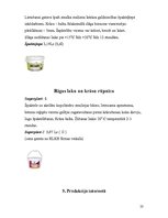 Referāts 'Koksnes aizrīvēšanas materiālu tehnoloģija. Tepes, ķites, špakteles', 23.