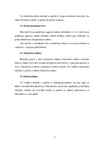 Referāts 'Autoiekrāvēju raksturojums', 11.