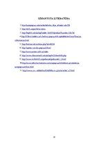 Referāts 'Autoiekrāvēju raksturojums', 18.