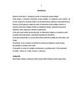 Diplomdarbs 'Maksājumu kartes un bezskaidras naudas norēķini', 2.