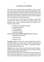 Diplomdarbs 'Maksājumu kartes un bezskaidras naudas norēķini', 19.