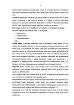 Diplomdarbs 'Maksājumu kartes un bezskaidras naudas norēķini', 24.