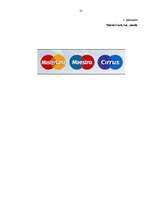 Diplomdarbs 'Maksājumu kartes un bezskaidras naudas norēķini', 81.