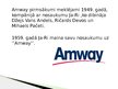 Prezentācija 'Tiešās pārdošanas kompānija "Amway"', 3.