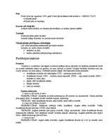 Referāts 'Biroja tehnika', 3.