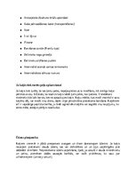 Referāts 'Kaķi - veterinārā rokasgrāmata dzīvnieku īpašniekiem', 4.