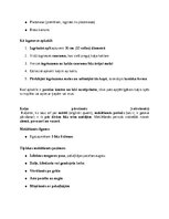 Referāts 'Kaķi - veterinārā rokasgrāmata dzīvnieku īpašniekiem', 8.