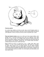 Referāts 'Kaķi - veterinārā rokasgrāmata dzīvnieku īpašniekiem', 9.