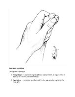 Referāts 'Kaķi - veterinārā rokasgrāmata dzīvnieku īpašniekiem', 16.