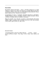 Referāts 'Kaķi - veterinārā rokasgrāmata dzīvnieku īpašniekiem', 41.