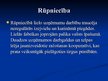 Prezentācija 'Saimniecība un izglītība "perestroikas" periodā Latvijā', 5.