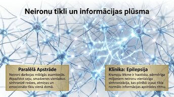 Prezentācija 'Centrālā nervu sistēma', 11.