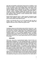 Referāts 'Jaunzēlande', 8.