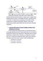 Konspekts 'Politiskās varas organizācijas formas', 4.