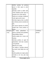 Konspekts 'Mājturības stundas plāns', 4.