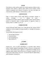 Referāts 'Reklāmas izkārtnes un to salīdzinājums', 1.