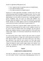 Referāts 'Reklāmas izkārtnes un to salīdzinājums', 2.