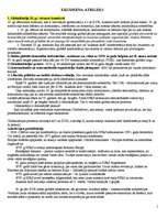 Konspekts 'Eksāmena atbildes kursā "Starptautiskā un globālā komunikācija"', 1.