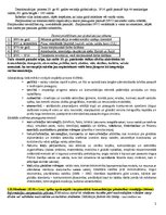 Konspekts 'Eksāmena atbildes kursā "Starptautiskā un globālā komunikācija"', 2.