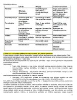 Konspekts 'Eksāmena atbildes kursā "Starptautiskā un globālā komunikācija"', 8.