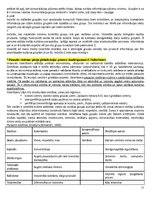 Konspekts 'Eksāmena atbildes kursā "Starptautiskā un globālā komunikācija"', 11.