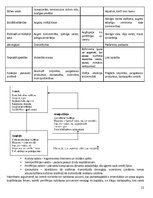 Konspekts 'Eksāmena atbildes kursā "Starptautiskā un globālā komunikācija"', 12.