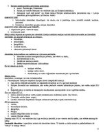 Konspekts 'Eksāmena atbildes kursā "Starptautiskā un globālā komunikācija"', 15.