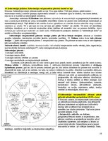Konspekts 'Eksāmena atbildes kursā "Starptautiskā un globālā komunikācija"', 16.