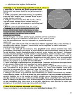 Konspekts 'Eksāmena atbildes kursā "Starptautiskā un globālā komunikācija"', 23.