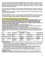 Konspekts 'Eksāmena atbildes kursā "Starptautiskā un globālā komunikācija"', 36.