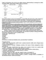Konspekts 'Eksāmena atbildes kursā "Starptautiskā un globālā komunikācija"', 51.