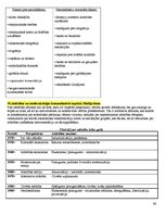 Konspekts 'Eksāmena atbildes kursā "Starptautiskā un globālā komunikācija"', 66.