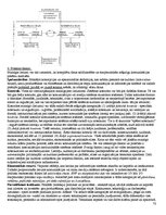 Konspekts 'Eksāmena atbildes kursā "Starptautiskā un globālā komunikācija"', 70.