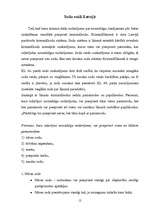 Referāts 'Kriminālsoda izpildes politikas liberalizācija Latvijā', 10.