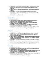 Konspekts 'Minerālvielas', 7.