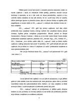 Referāts 'Stratēģiskā mārketinga plānošana', 6.