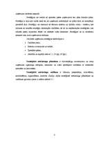 Referāts 'Stratēģiskā mārketinga plānošana', 8.