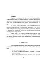 Referāts 'Stratēģiskā mārketinga plānošana', 19.