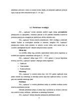 Referāts 'Stratēģiskā mārketinga plānošana', 21.