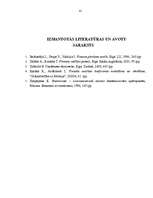 Prakses atskaite 'Profesionālā prakse grāmatvedībā', 41.