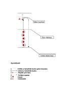 Konspekts 'Sporta stafete', 3.